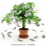 Business and Project Loans/Financing Available